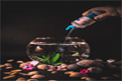 Add Food to your Fish Tank