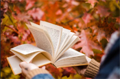 Start writing a Book